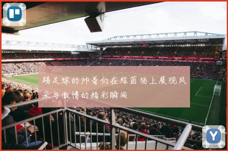 踢足球的帅哥们在绿茵场上展现风采与激情的精彩瞬间