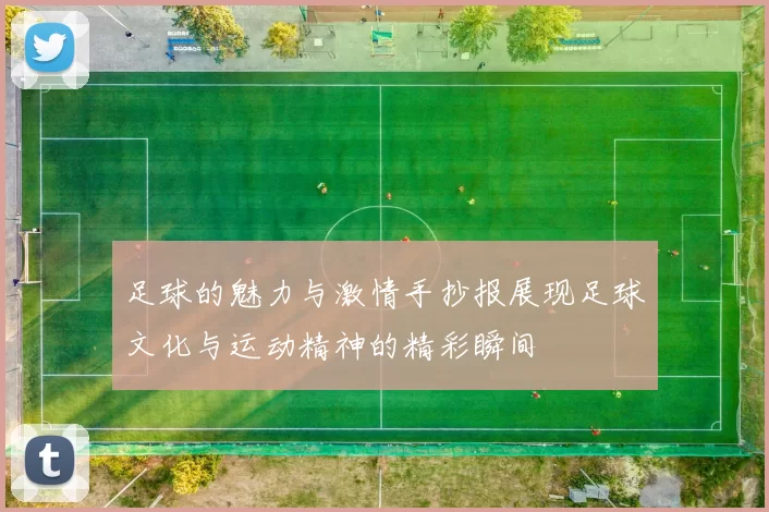 足球的魅力与激情手抄报展现足球文化与运动精神的精彩瞬间