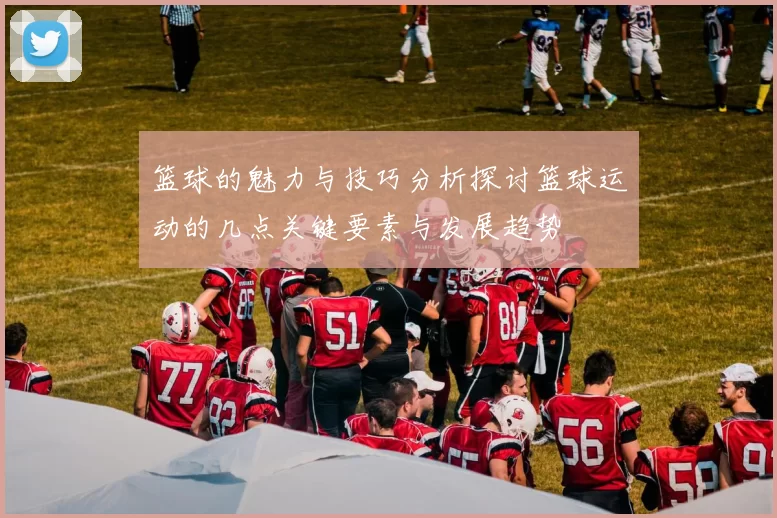 篮球的魅力与技巧分析探讨篮球运动的几点关键要素与发展趋势