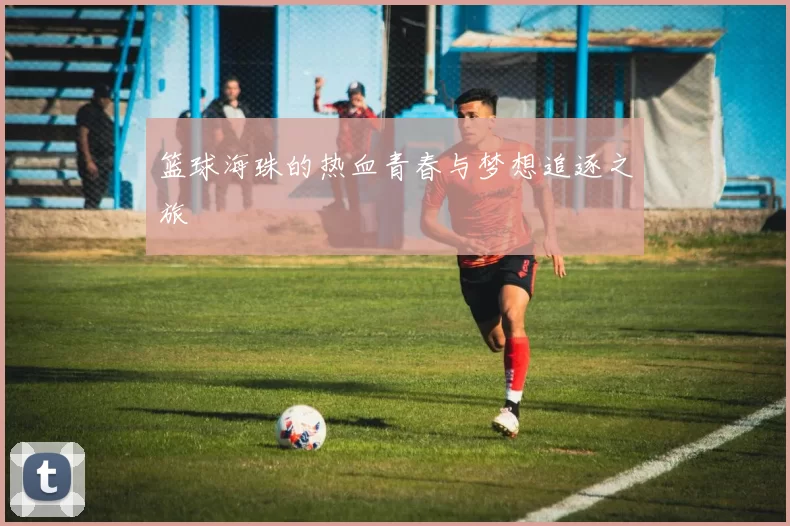 篮球海珠的热血青春与梦想追逐之旅