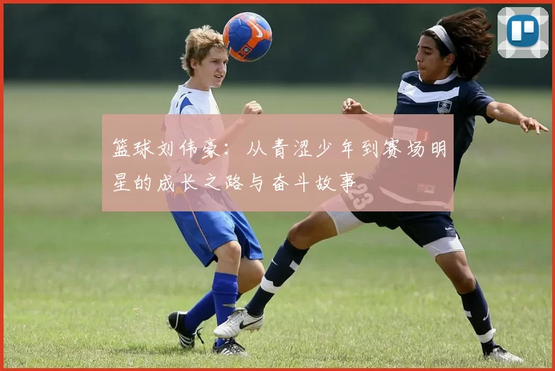 篮球刘伟豪：从青涩少年到赛场明星的成长之路与奋斗故事