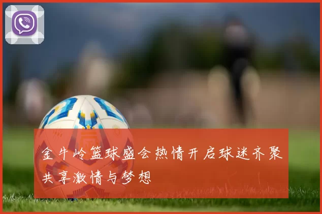 金牛岭篮球盛会热情开启球迷齐聚共享激情与梦想